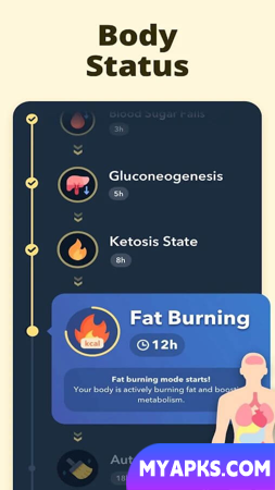 Fasting Tracker