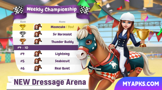 My Horse Stories