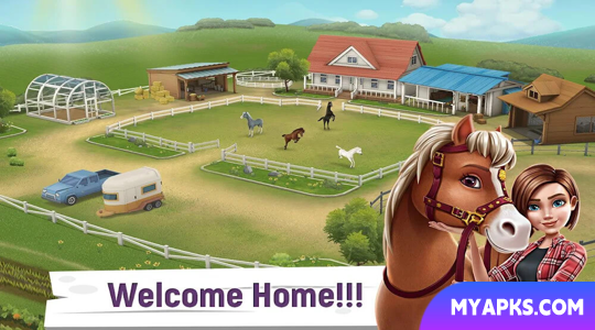 My Horse Stories