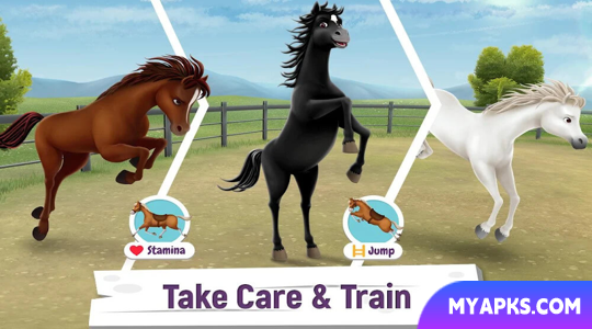 My Horse Stories