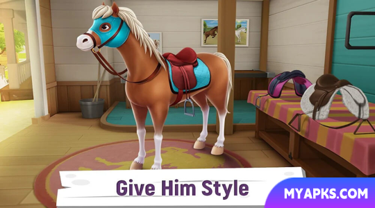 My Horse Stories