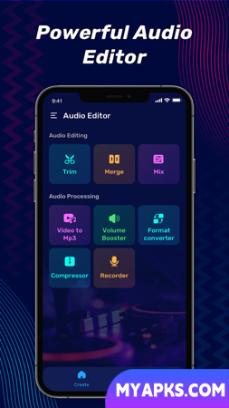 Audio Editor Pro