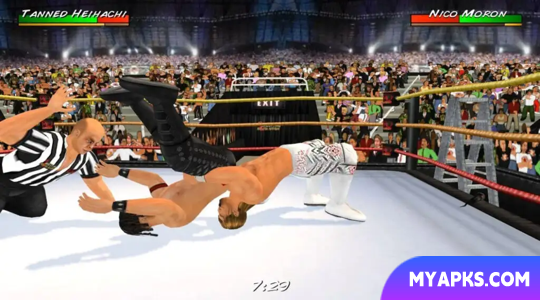 Wrestling Revolution 3D