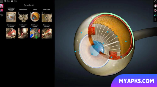 Anatomy Learning - 3D Anatomy Atlas