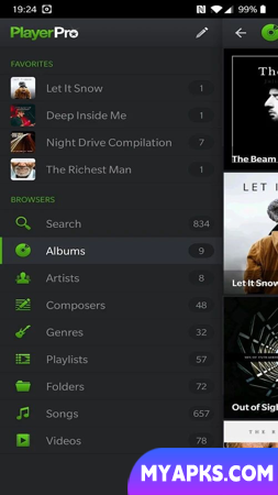 PlayerPro Music Player
