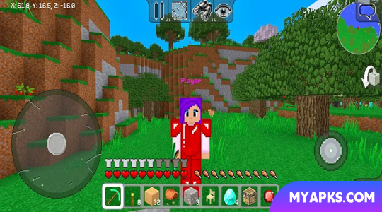MultiCraft