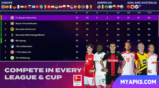 Soccer Manager 2024