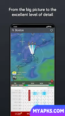 Windy.com - Weather Forecast