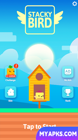 Stacky Bird: Fun Egg Dash Game 