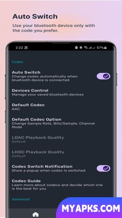 Bluetooth Codec Changer