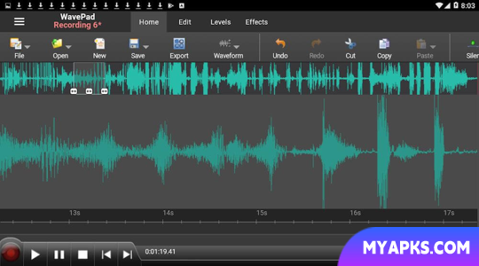 WavePad Audio Editor