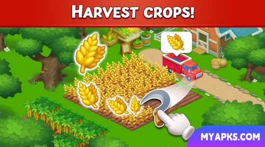 Farm City