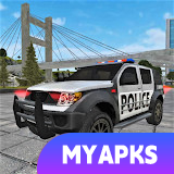 Miami Crime Police