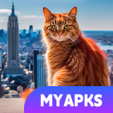 Cats Game - Survival Simulator