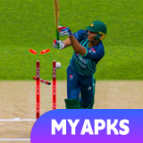 Real World Cricket Games