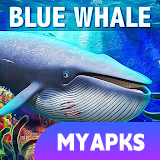 Blue Whale Simulator - Game