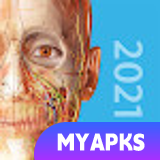 Human Anatomy Atlas 2021