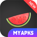 Melon VPN