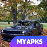 Car Driving Open World Games