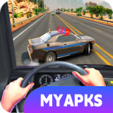 POV Car Highway Driving Police