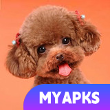 Teddy Dog Simulator