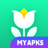 Plant Parent: Plant Care Guide
