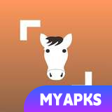 Horse Scanner