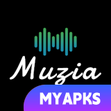 Muzia: Music on Display
