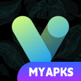 Vera Icon Pack