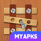 Screw Puzzle: Nuts & Bolts
