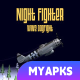 Night Fighter: WW2 Dogfight