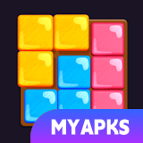 Block King - Brain Puzzle Game