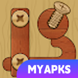 Wood Nuts Bolts Puzzle