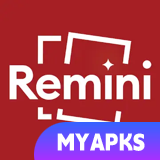 Remini Pro