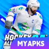 Hockey All Stars 24