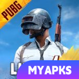 PUBG MOBILE LITE