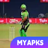 Pakistan T20 Cricket Games 3D