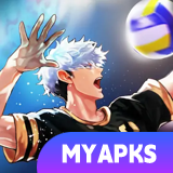The Spike Volleyball Story