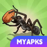 Pocket Ants