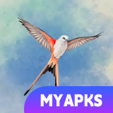 Wingspan