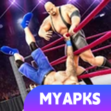 PRO Wrestling Fighting Game