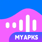 VK Music