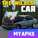 The Wildest Car
