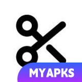 Vidma Editor