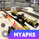Counter Strike : Online Game