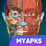 Anatomy Learning - 3D Anatomy