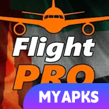 Pro Flight Simulator