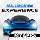 Real Car Driving Experience