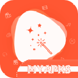 Video Converter Pro