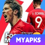 Football Master 2
